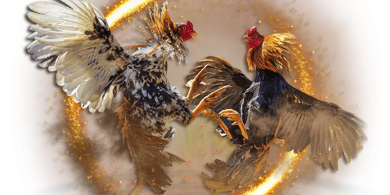Một số tính năng đặc biệt giúp người chơi có trải nghiệm tuyệt vời